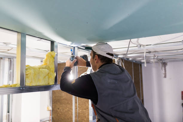 Best Local Insulation Services  in Vandalia, IL